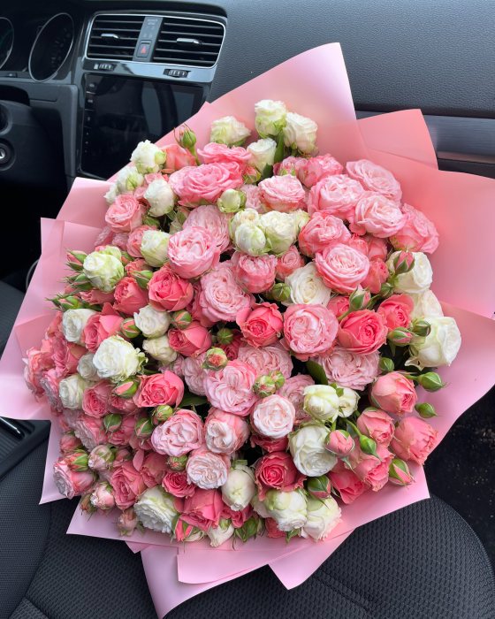 35 кущових піоноподібних троянд
