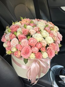 Композиції