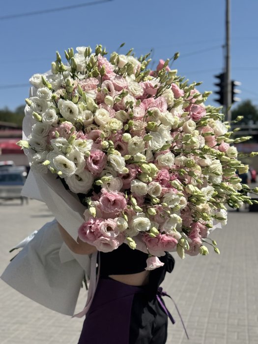 Еустоми