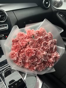 Гвоздики