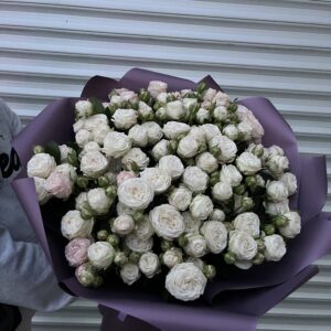 29 кущових піоноподібних троянд