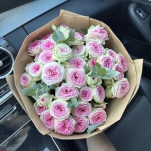 11 кущових піоноподібних троянд
