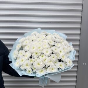 25  білих хризантем