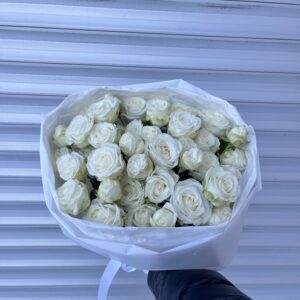 13 кущових піоноподібних троянд