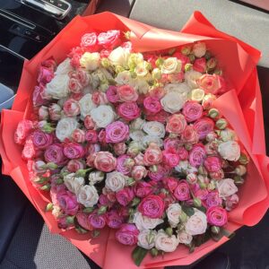 51 кущова піоноподібна троянда