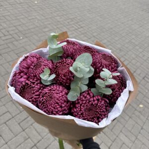 11 хризантем «бігуді» з евкаліптом